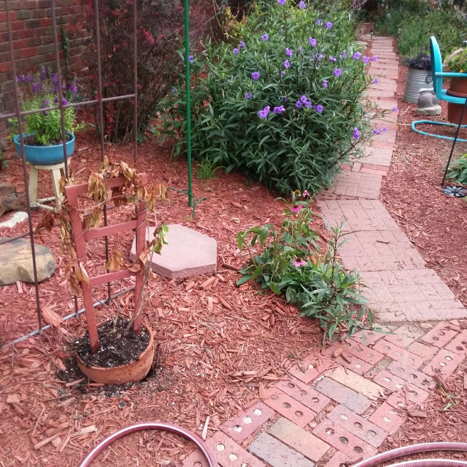Southern Landscape LLC